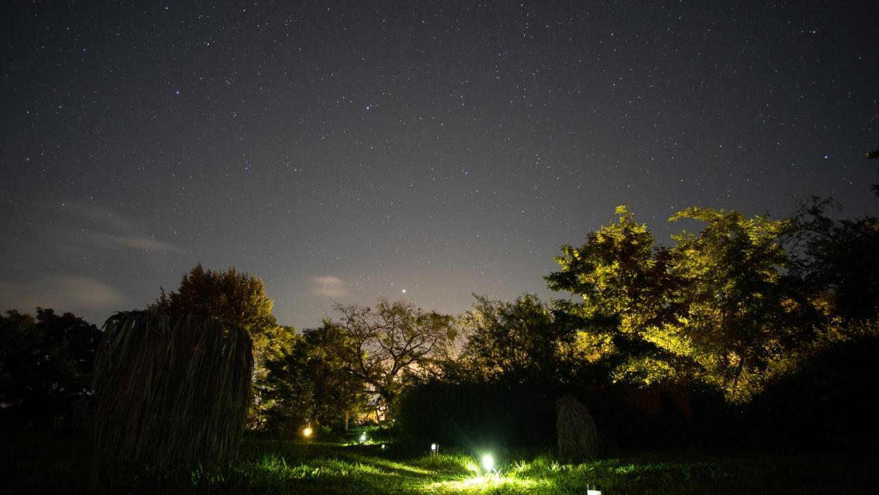 Rucatalca Bed And Breakfast Nancagua  외부 사진