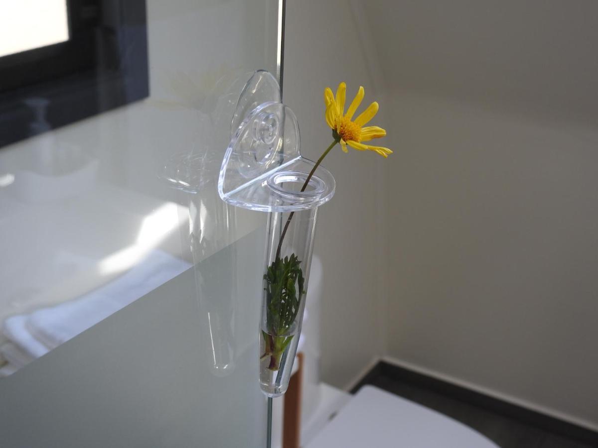 Rucatalca Bed And Breakfast Nancagua  외부 사진